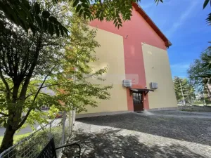 Prodej bytu 2+kk, Plzeň - Severní Předměstí, Elišky Krásnohorské, 67 m2