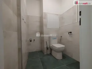 Pronájem bytu 2+1, Karlovy Vary, K. Čapka, 57 m2