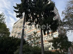 Pronájem bytu 2+kk, Zlín, Osvoboditelů, 50 m2