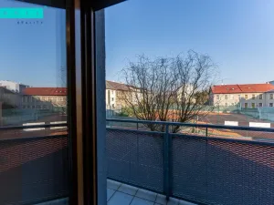 Pronájem bytu 4+kk, Olomouc - Nové Sady, Českobratrská, 151 m2