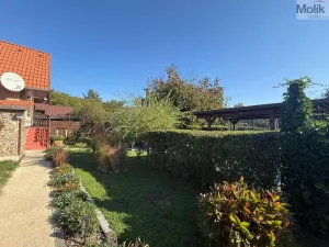 Prodej zahrady, Želenice, 646 m2