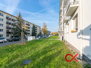 Pronájem bytu 2+1, Milovice - Mladá, Spojovací, 43 m2