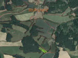 Prodej pole, Zvěstov - Bořkovice, 9983 m2