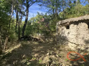 Prodej chaty, Seč, 39 m2