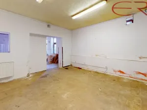 Prodej rodinného domu, Jablonec nad Nisou, Havlíčkova, 518 m2