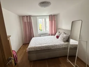 Pronájem bytu 2+1, Rokycany - Nové Město, Družstevní, 54 m2