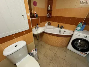 Prodej bytu 3+1, Most, Česká, 62 m2
