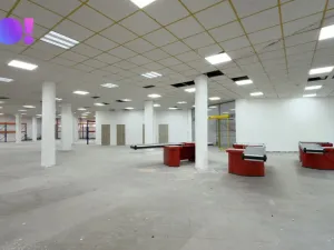 Pronájem obchodního prostoru, Karviná, Jaroslava Vrchlického, 1161 m2