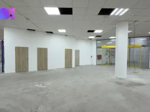 Pronájem obchodního prostoru, Karviná, Jaroslava Vrchlického, 1161 m2