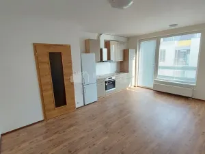 Pronájem bytu 1+kk, Praha - Hodkovičky, Šífařská, 38 m2