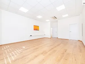 Pronájem bytu 1+kk, Praha - Vršovice, Smolenská, 48 m2