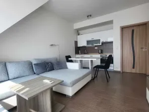 Pronájem bytu 2+kk, České Budějovice, B. Smetany, 49 m2