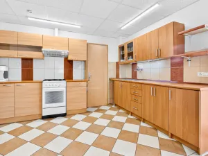 Prodej rodinného domu, Janovice nad Úhlavou, Spartakiádní, 370 m2