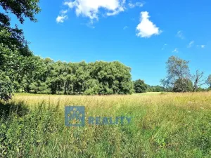 Prodej louky, Trutnov - Babí, 22776 m2