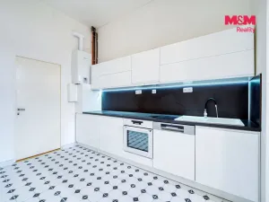 Prodej bytu 3+1, Plzeň - Jižní Předměstí, Skrétova, 179 m2