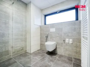 Pronájem bytu 2+kk, Plzeň - Východní Předměstí, Sladová, 54 m2