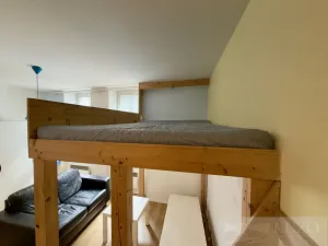 Pronájem bytu 1+kk, Plzeň, Rubešova, 25 m2