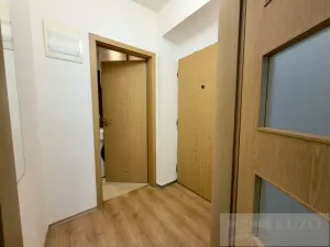 Pronájem bytu 1+kk, Plzeň, Rubešova, 25 m2