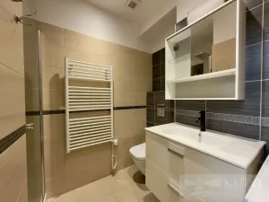 Pronájem bytu 1+kk, Plzeň, Rubešova, 25 m2