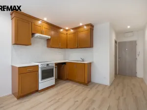 Pronájem bytu 1+1, Litvínov - Horní Litvínov, Tylova, 37 m2
