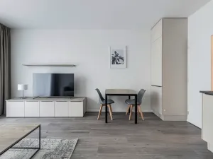 Pronájem bytu 1+kk, Praha - Karlín, Pernerova, 30 m2