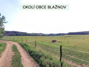 Prodej podílu pozemku pro bydlení, Křešín, 420 m2