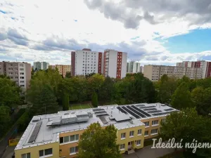 Pronájem bytu 2+kk, Brno - Židenice, Blatnická, 46 m2