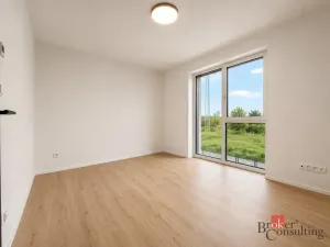 Pronájem bytu 4+kk, Plzeň - Litice, Veslařská, 88 m2