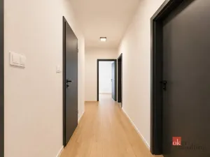 Pronájem bytu 4+kk, Plzeň - Litice, Veslařská, 88 m2