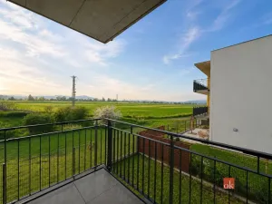 Pronájem bytu 4+kk, Plzeň - Litice, Veslařská, 88 m2
