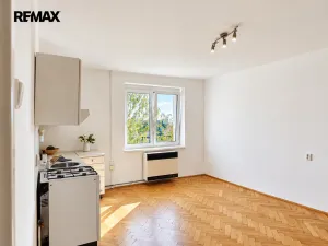 Prodej bytu 1+kk, Litvínov - Horní Litvínov, Podkrušnohorská, 38 m2