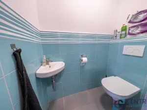 Prodej vícegeneračního domu, Veselá, 265 m2