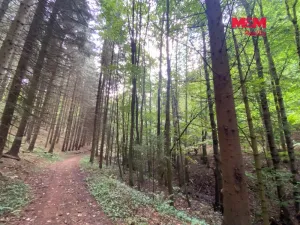 Prodej louky, Strážná, 2261 m2