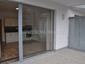 Pronájem bytu 1+kk, České Budějovice - České Budějovice 2, Volejbalistů, 30 m2