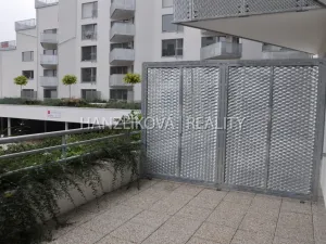 Pronájem bytu 1+kk, České Budějovice - České Budějovice 2, Volejbalistů, 30 m2
