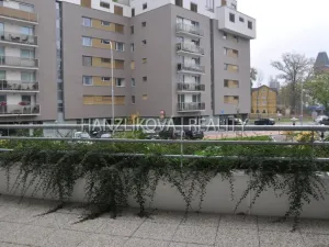 Pronájem bytu 1+kk, České Budějovice - České Budějovice 2, Volejbalistů, 30 m2