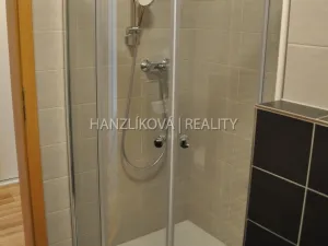 Pronájem bytu 1+kk, České Budějovice - České Budějovice 2, Volejbalistů, 30 m2