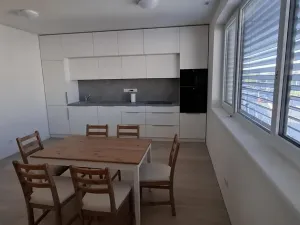Pronájem bytu 2+kk, Brno - Židenice, Životského, 50 m2