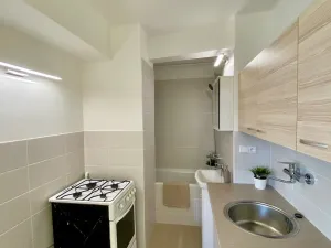 Pronájem bytu 1+kk, Mladá Boleslav, Jičínská, 37 m2