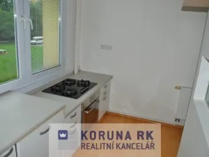 Pronájem bytu 2+1, České Budějovice - České Budějovice 2, J. Opletala, 60 m2