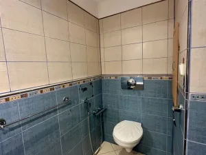 Pronájem bytu 2+1, Cheb, Palackého, 55 m2