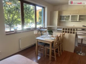 Pronájem bytu 1+kk, Praha - Ďáblice, Hořínecká, 48 m2