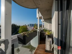 Prodej bytu 2+kk, Plzeň - Jižní Předměstí, U Borského parku, 56 m2
