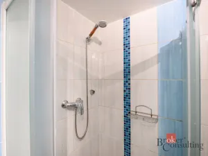 Prodej bytu 1+1, Plzeň - Bolevec, Žlutická, 39 m2