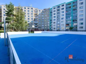 Prodej bytu 1+1, Plzeň - Bolevec, Žlutická, 39 m2