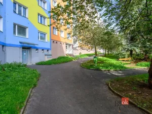 Prodej bytu 1+1, Plzeň - Bolevec, Žlutická, 39 m2