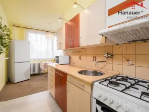 Prodej bytu 2+1, Děčín - Děčín VI-Letná, Školní, 63 m2