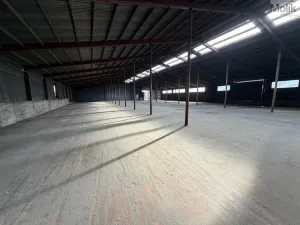 Pronájem skladu, Malé Březno, 1800 m2
