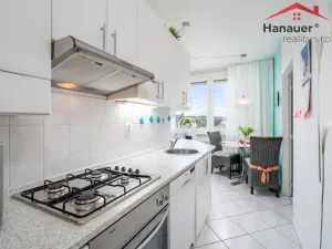 Prodej bytu 2+1, Teplice, Fráni Šrámka, 72 m2