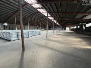 Pronájem skladu, Malé Březno, 900 m2